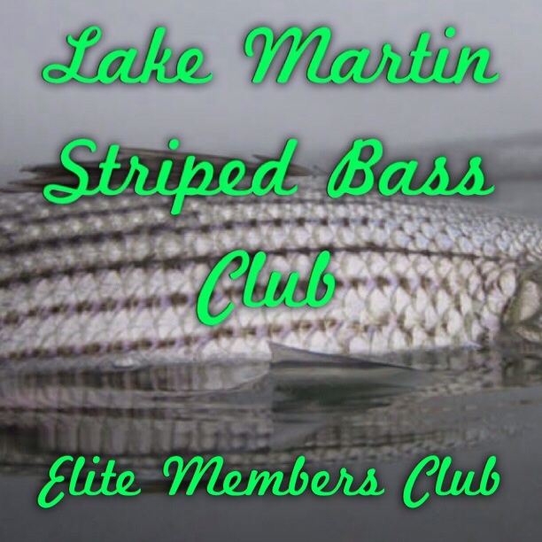 Striped Bass Club Lake Martin, AL