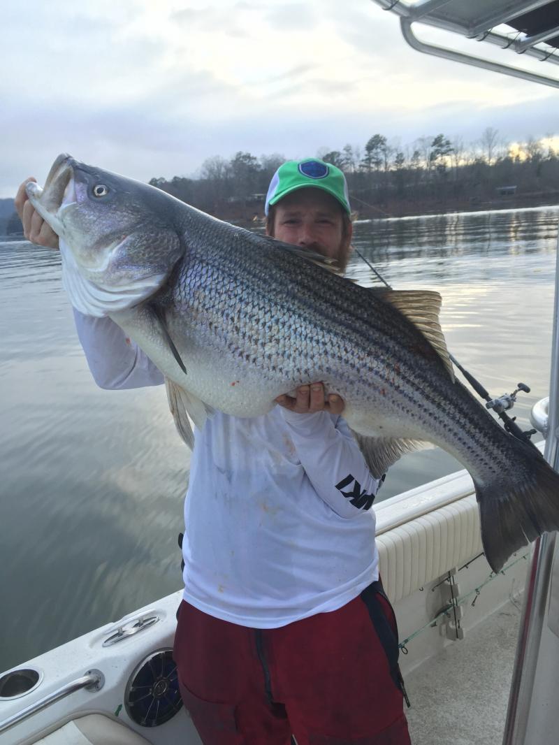 Got You Hooked Striped Bass Guide Service - Fishing Guide