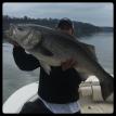 Monster striper