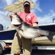 2015 big striper