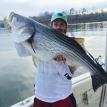 Monster striper from spring 2015