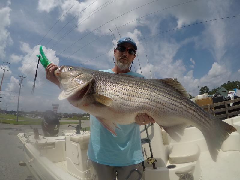 Got You Hooked Striped Bass Guide - Brian Farley