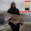 2017 Trophy Striped Bass Trip On Lake Martin
