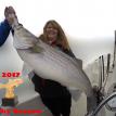 2017 Trophy Striped Bass 