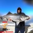 2017 Monster Striped Bass On Trophy Trip