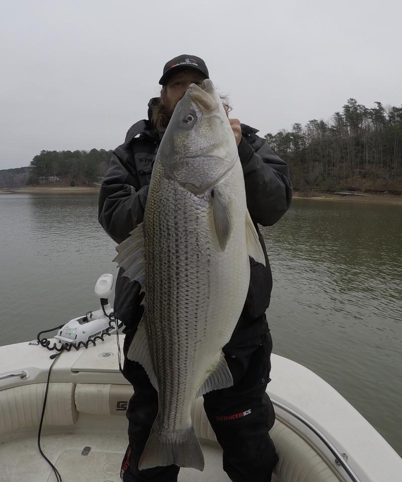 Lake Martin Striped Bass Guide - Mike Walker